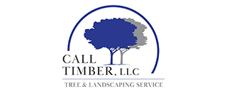 Call Timber